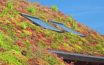 Sedbusk living roof systems