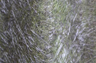 Sedbusk fibreglass roof work